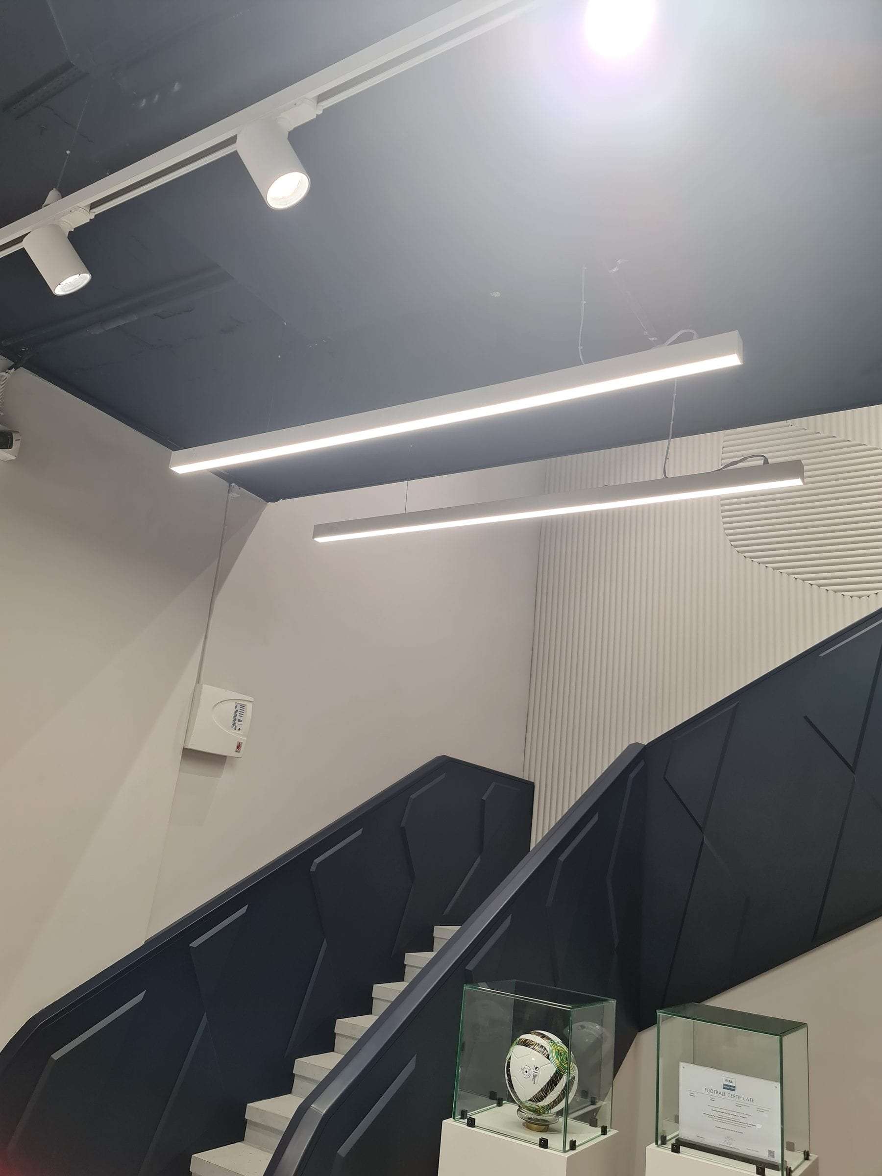 Athletic Showroom — photograph 2 of 9